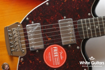 Paranormal Toronado - 3-Color Sunburst